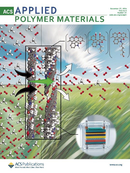 Applied Polymer Materials.jpg